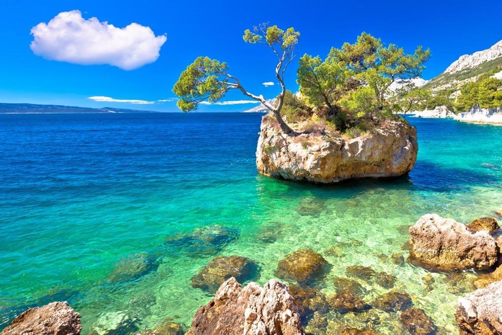 Holiday home Perunika Zezevica Bagian luar foto